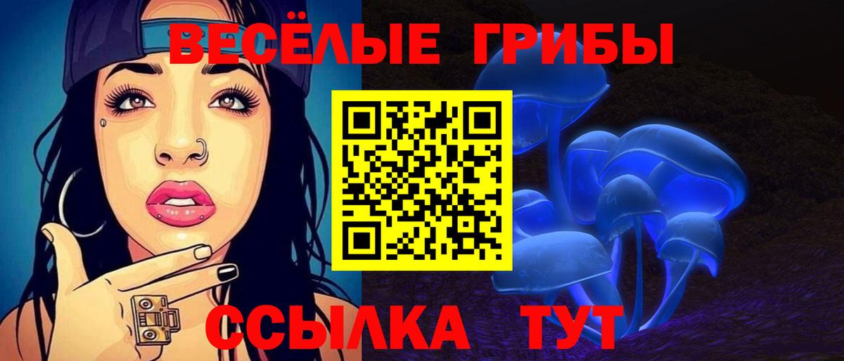 Россошь  Псилоцибиновые грибы Cubensis  Вход с VPN 